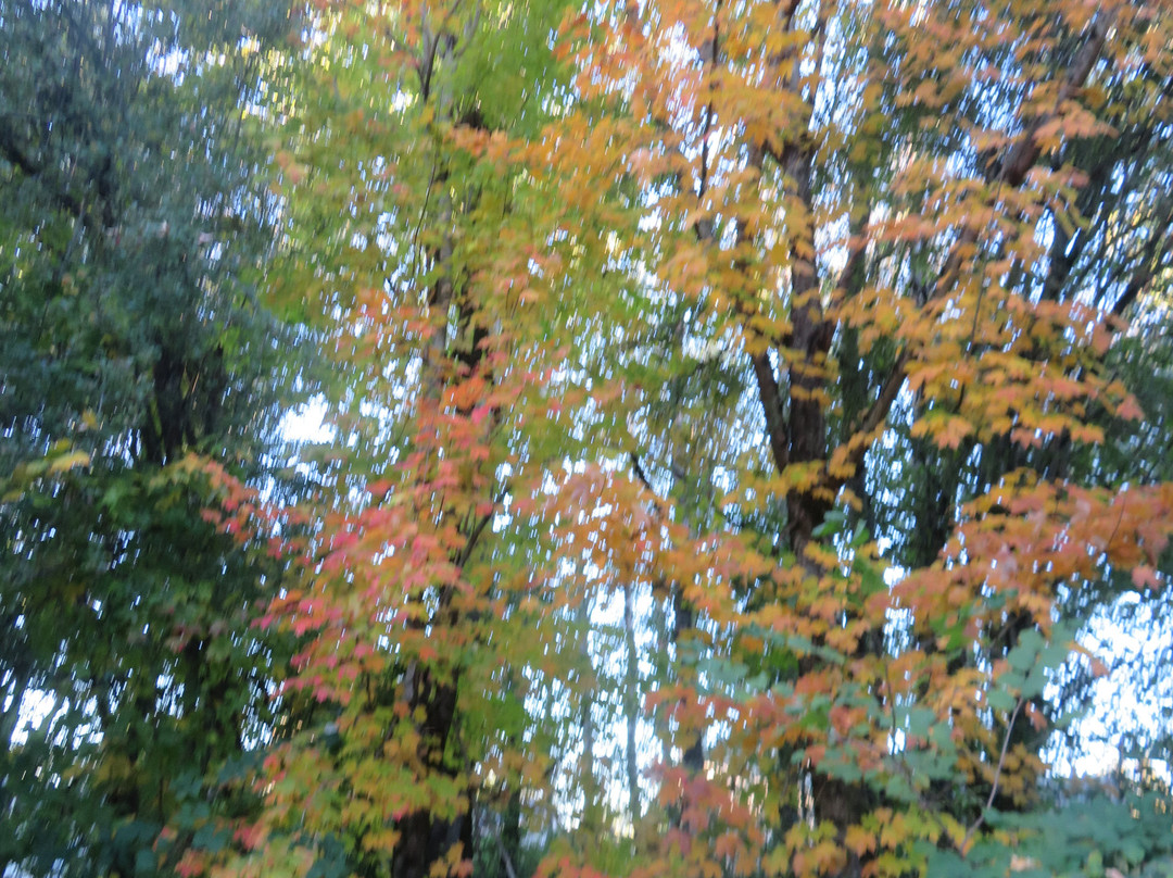 East Gresham Park-格雷舍姆必去景点