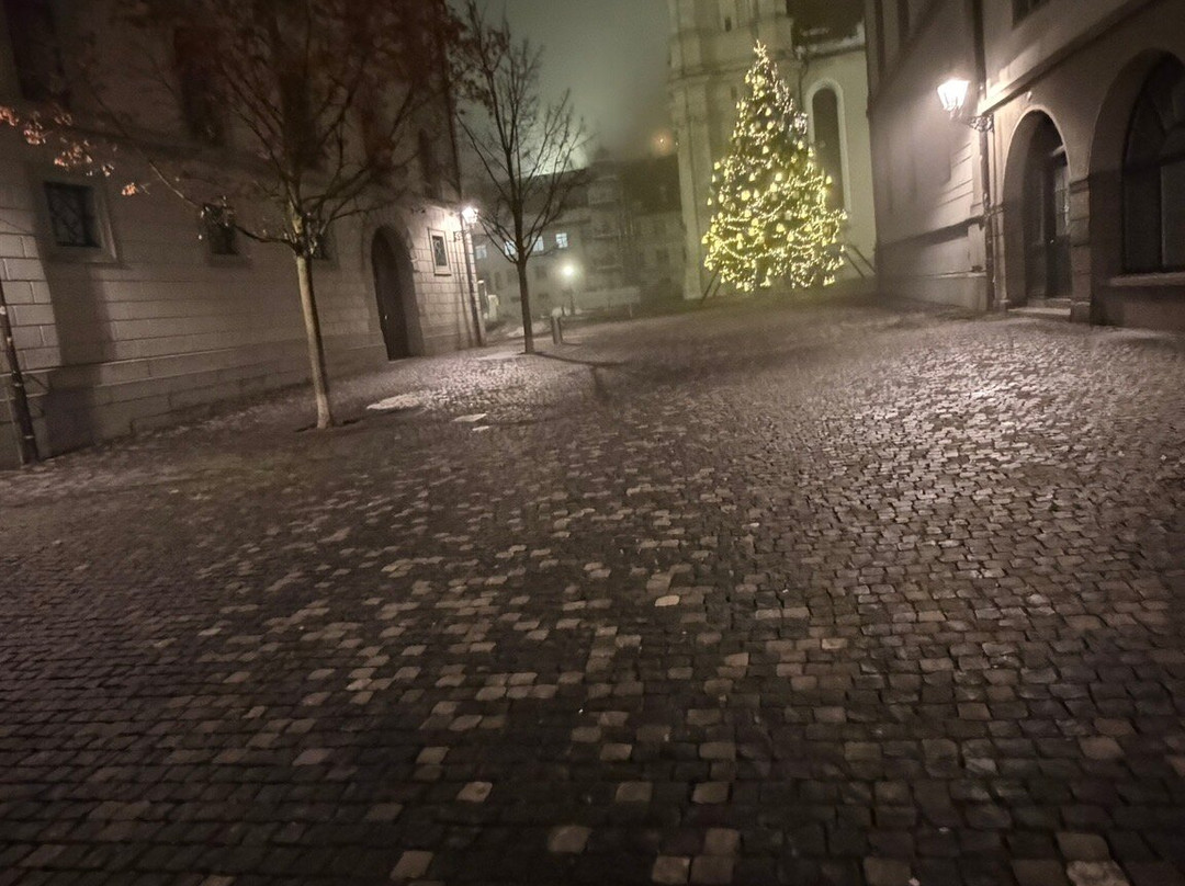 圣加尔修道院-圣加仑必去景点