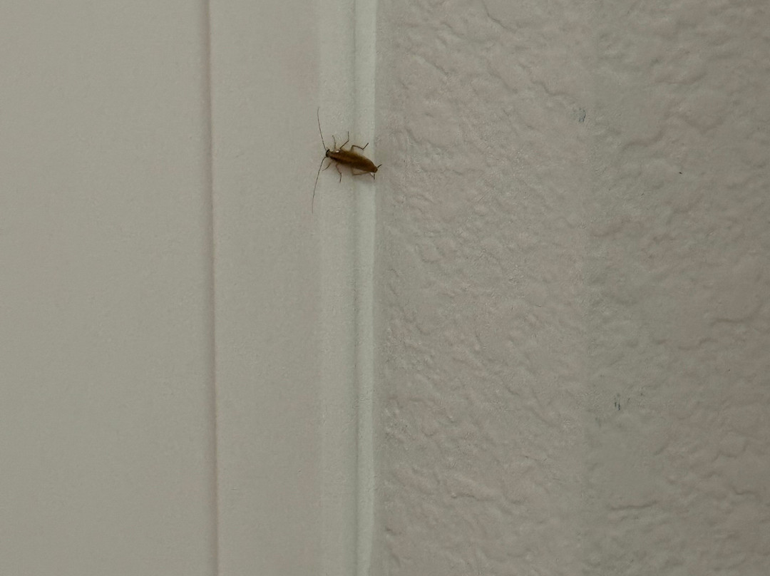 La Quinta Inn & Suites by Wyndham Atlanta Conyers主图