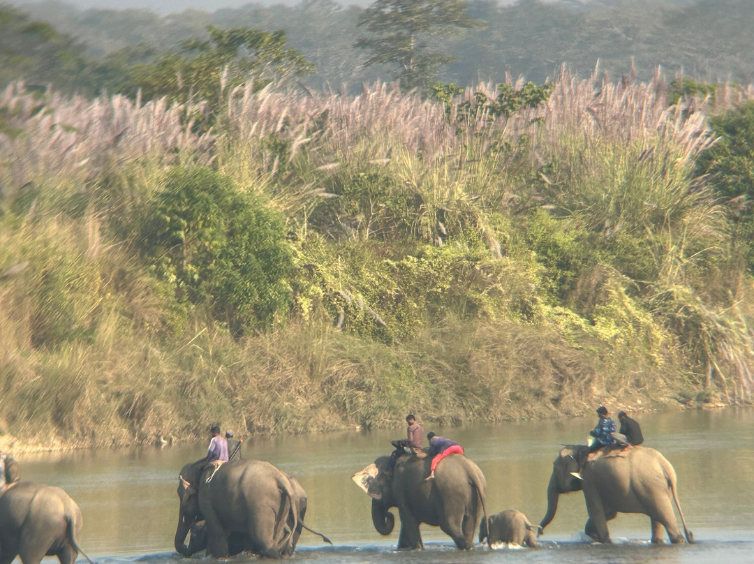 Wild Nabin Tour-奇旺国家公国必去景点