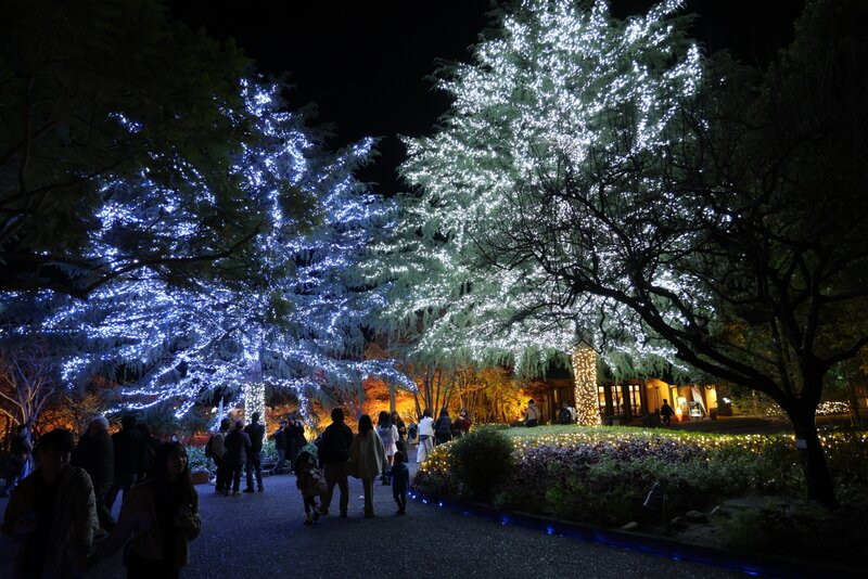 名花之乡-桑名市必去景点