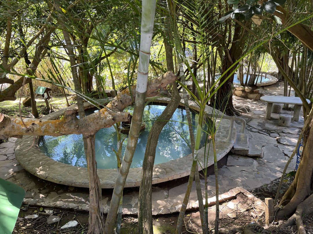 Las Hornillas Volcano Hot Springs-巴加塞斯區必去景点