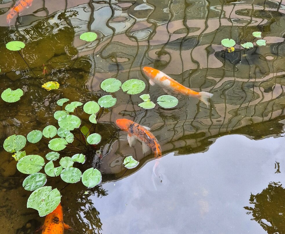 SQS 308 Quadra modelo-巴西利亚必去景点