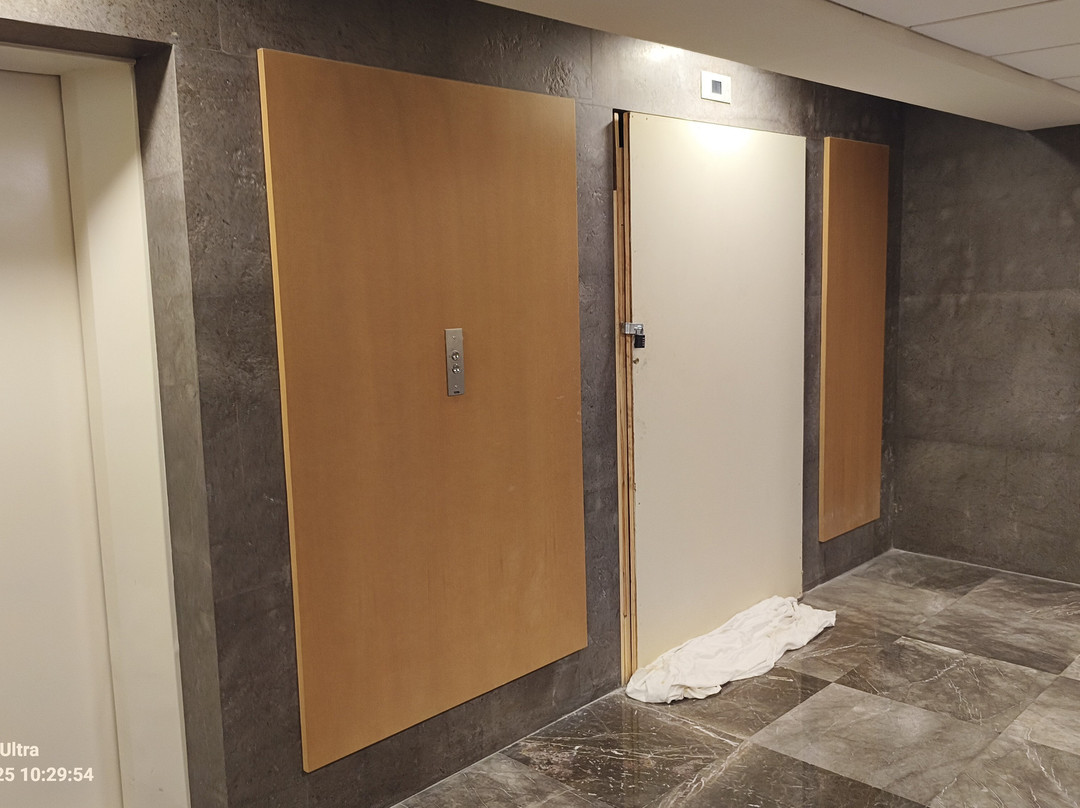 MS Milenium Monterrey, Curio Collection by Hilton主图