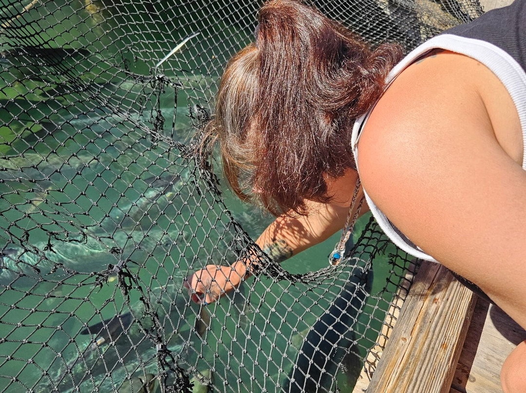 Robbie's of Islamorada-伊斯拉摩拉达必去景点