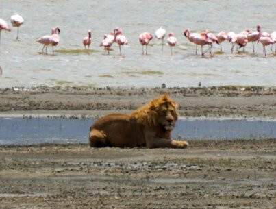 Tansania Reiseabenteuer SDL GmbH-柏林必去景点