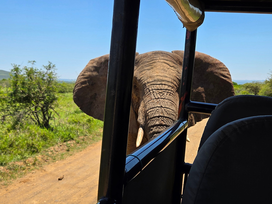 EuroZulu Guided Tours & Safaris-圣露西亚必去景点