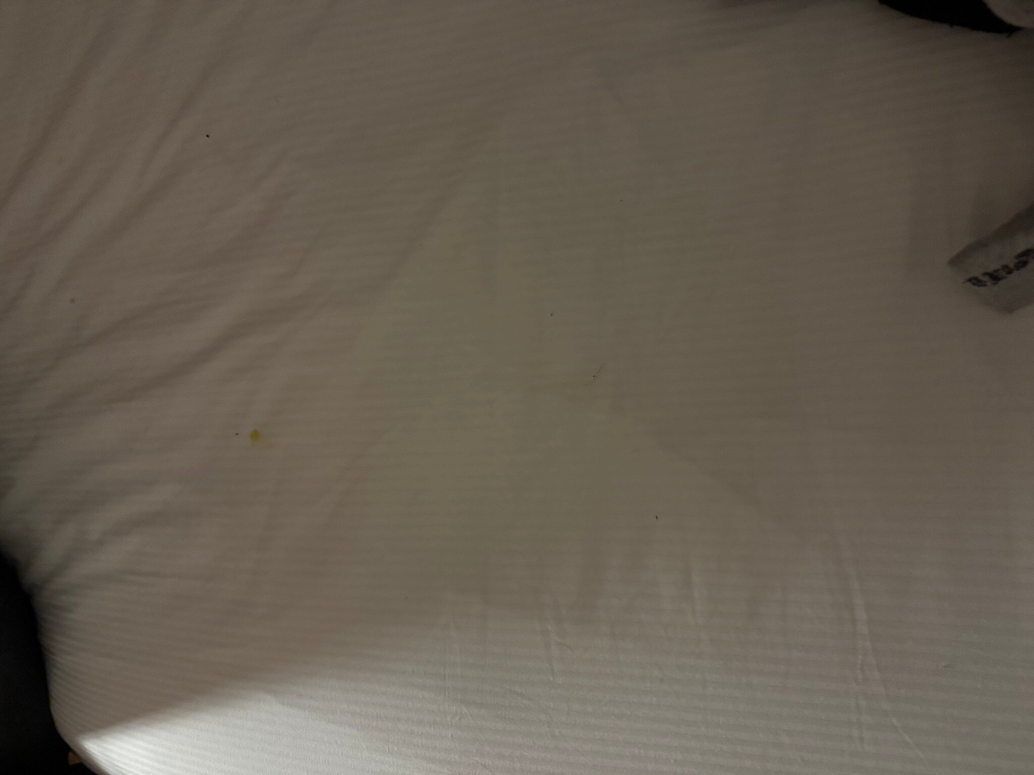 Ace Hotel Paris Marne La Vallee-官方