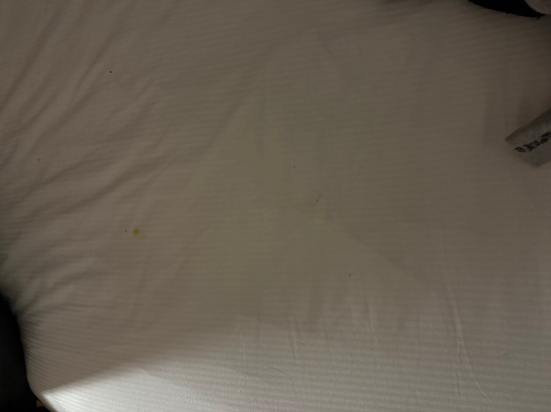 Ace Hotel Paris Marne La Vallee主图