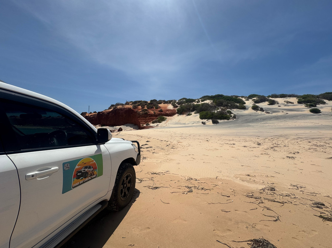 Shark Bay Coastal Tours-德纳姆必去景点