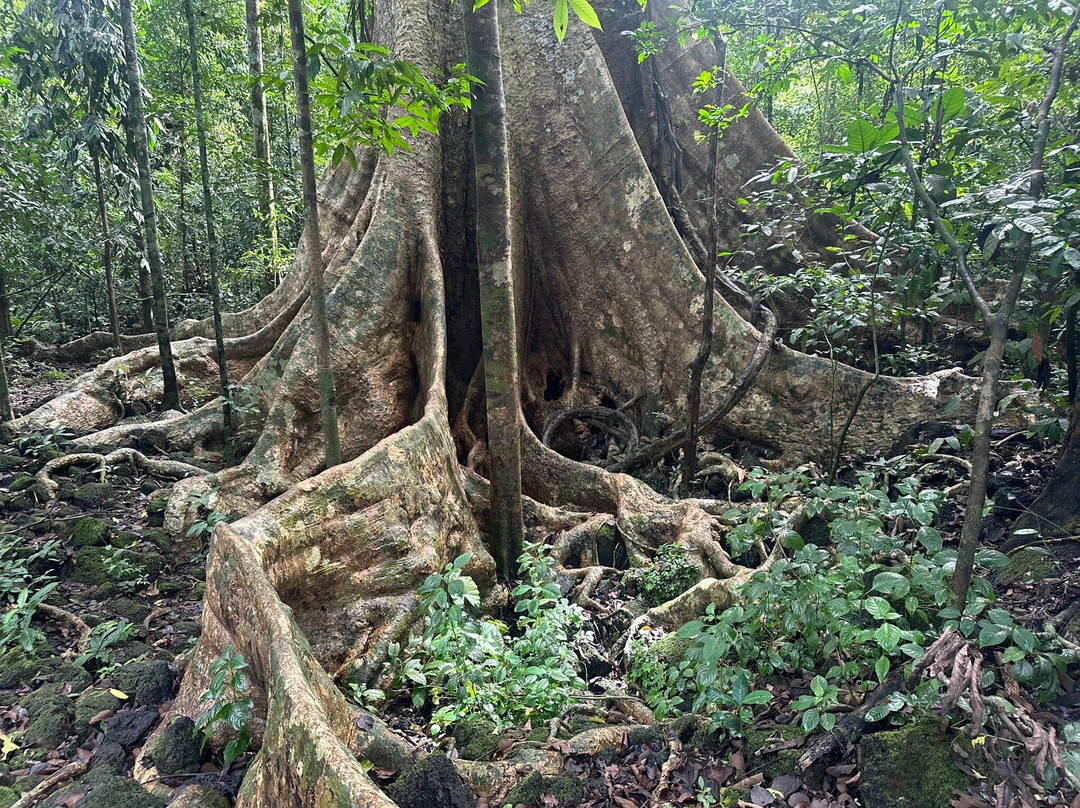 Crocodile Lake-Cat Tien National Park必去景点