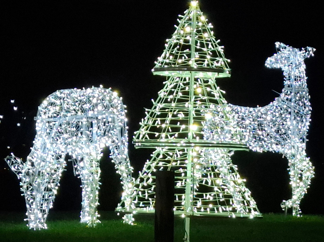 Light Up Trails-罗姆西必去景点