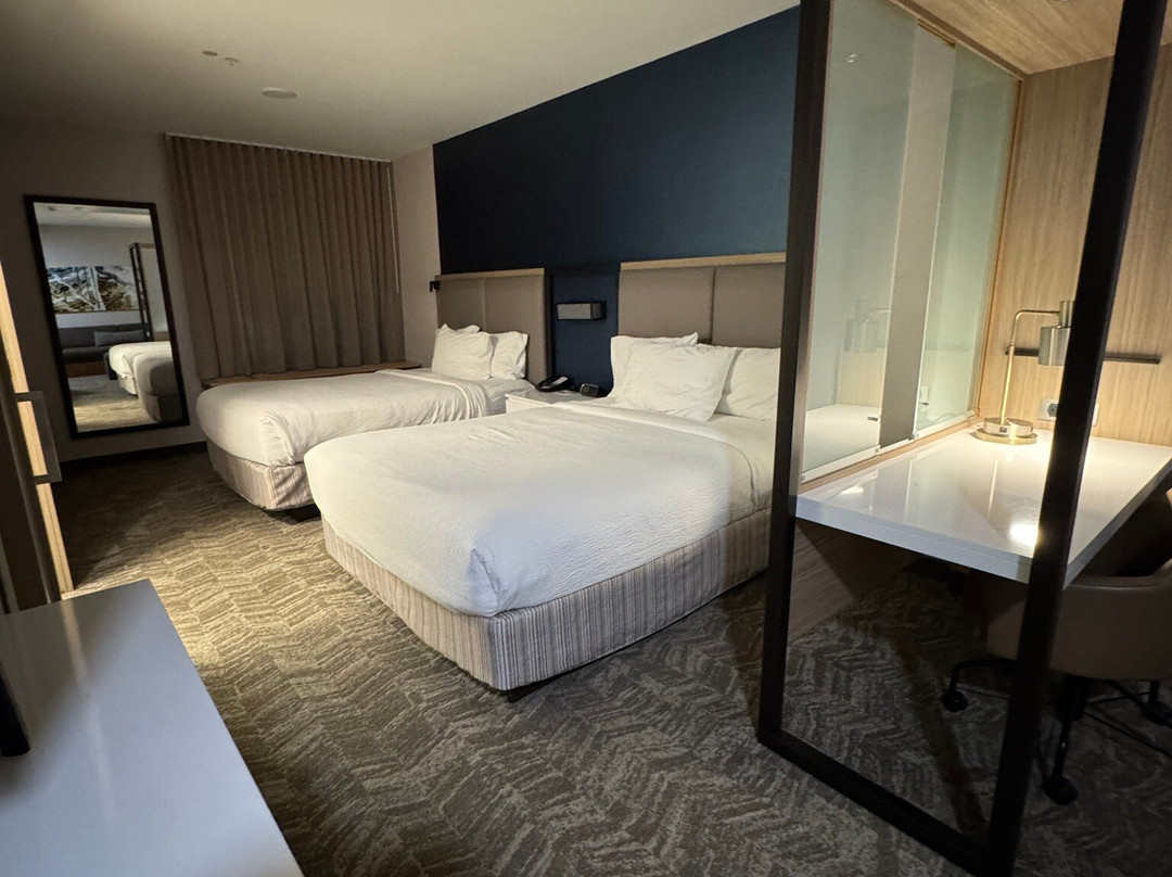 SpringHill Suites by Marriott Anaheim Placentia/Fullerton主图