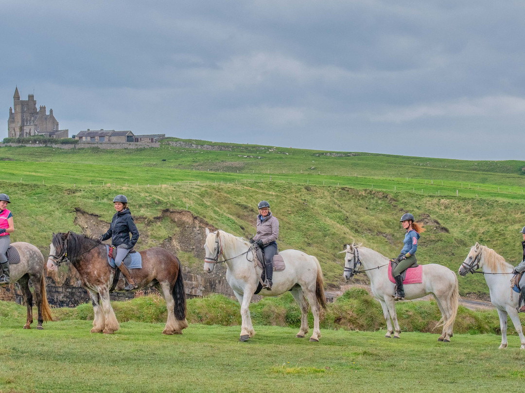 Island View Riding Stables-Grange必去景点