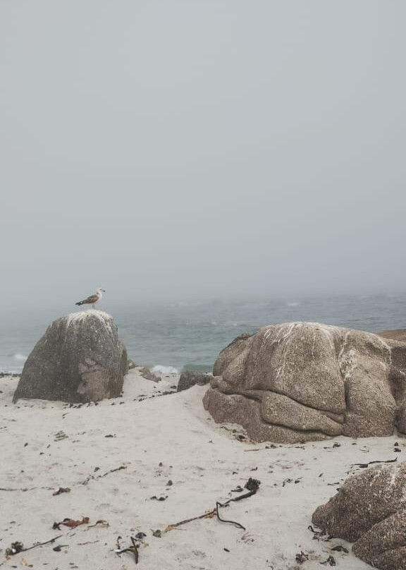 Stompneus Point Lighthouse-St. Helena Bay必去景点
