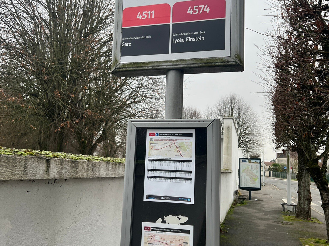 Sainte-Geneviève-des-Bois Russian Cemetery-Sainte-Genevieve-des-Bois必去景点