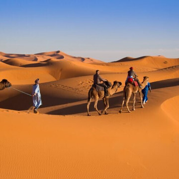 Oasis Desert Tours