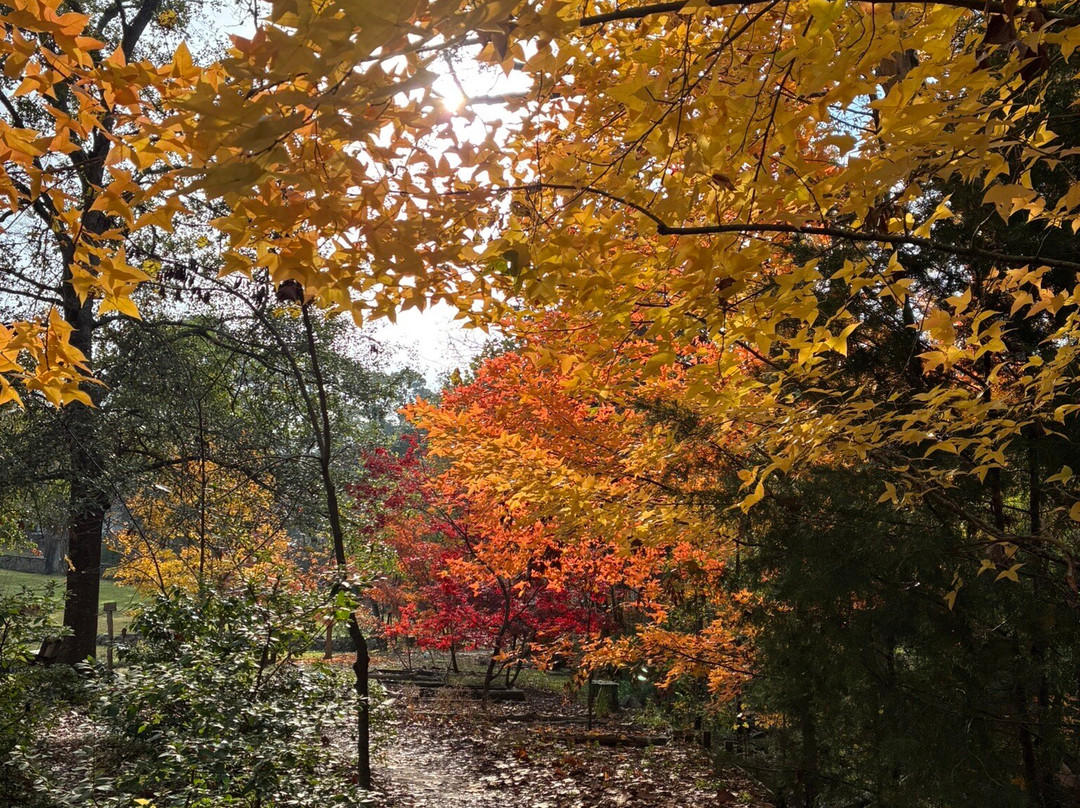 Sam Houston Memorial Museum-Huntsville必去景点