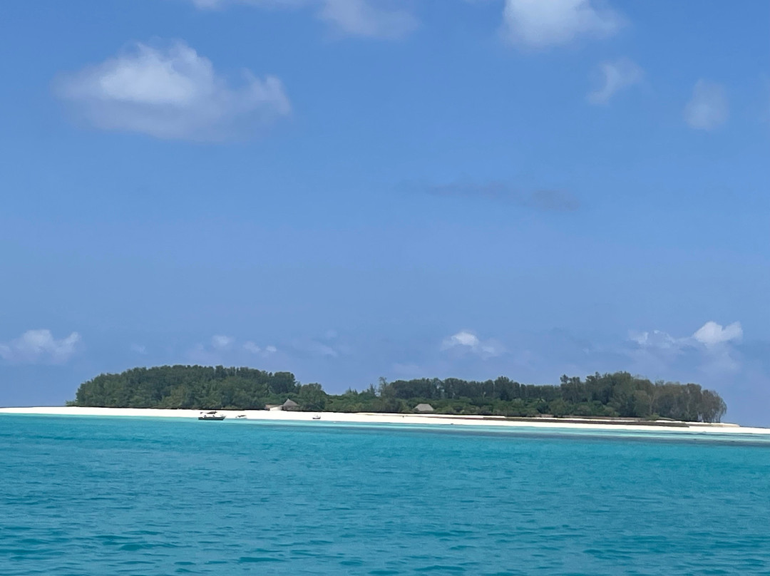 Dive Point Zanzibar-Matemwe必去景点