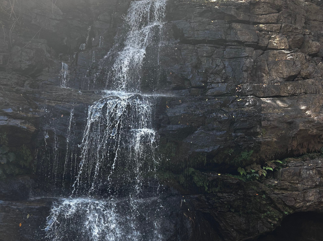 Morogoro Hotel主图