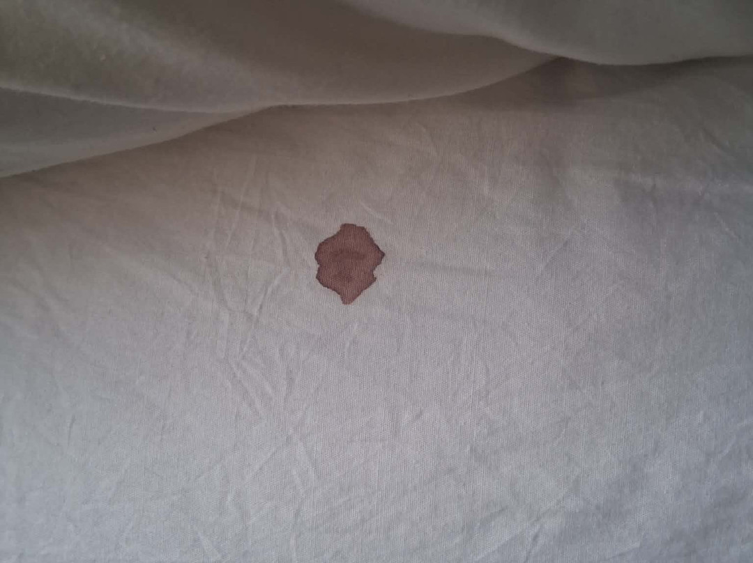 圣保罗河滨皇冠假日酒店主图