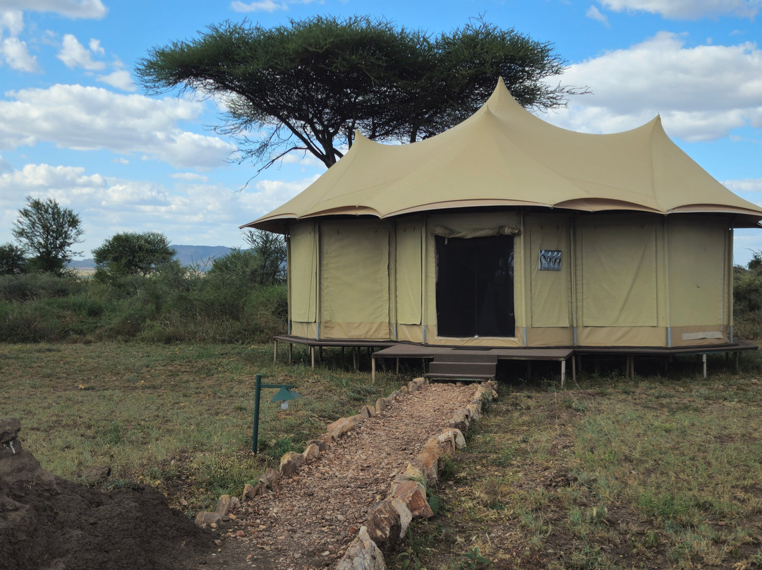 Zara Tanzania Adventures-莫西必去景点