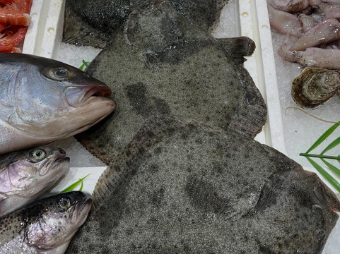 Wagner Municipal Market-米兰必去景点