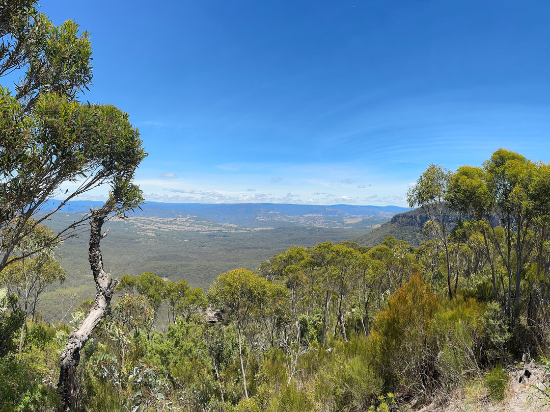 Blue Mountains Tours-格兰布鲁克必去景点