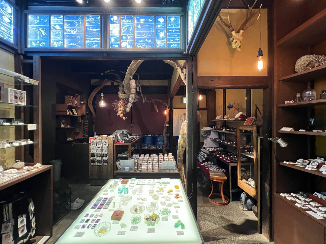 Usaginonedoko Kyoto Shop-京都市必去景点