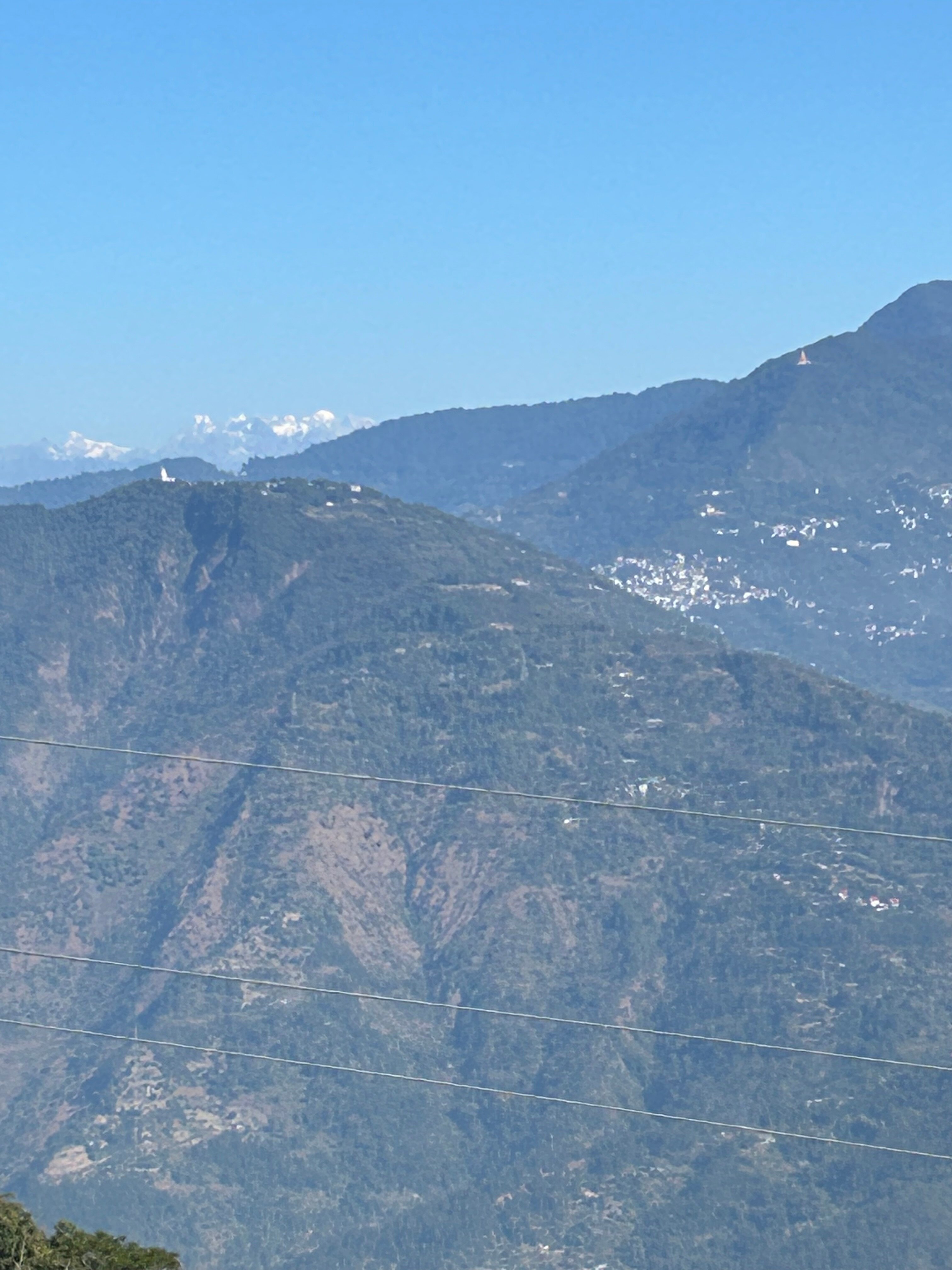 Ging Tea House-官方