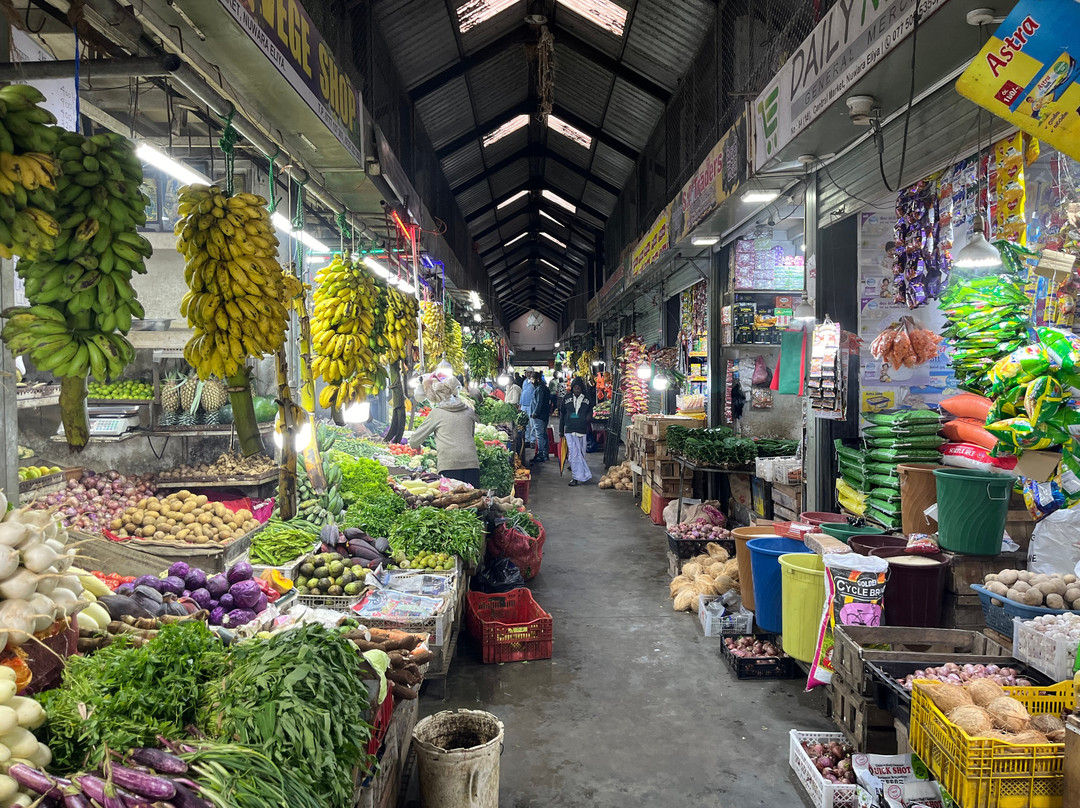 Nature Paradise Travels-科伦坡必去景点
