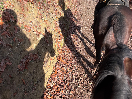 Horse Riding Tre Laghi-丘西必去景点