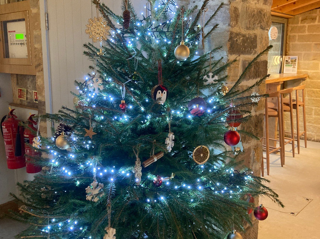 Longshaw Estate-峰区国家公园必去景点