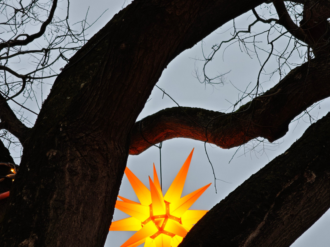 Best Of Mainz | Stadtführungen & Mehr-美因茨必去景点