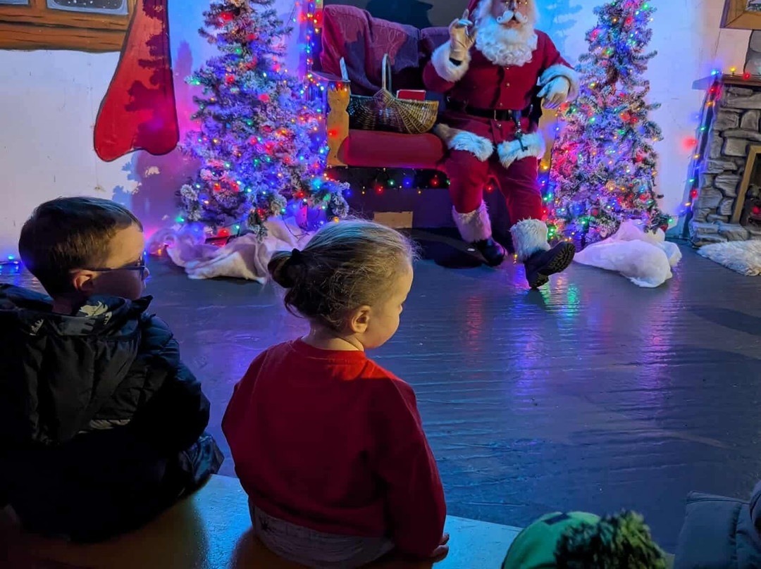 Tweddle Children's Animal Farm-哈特尔普尔必去景点