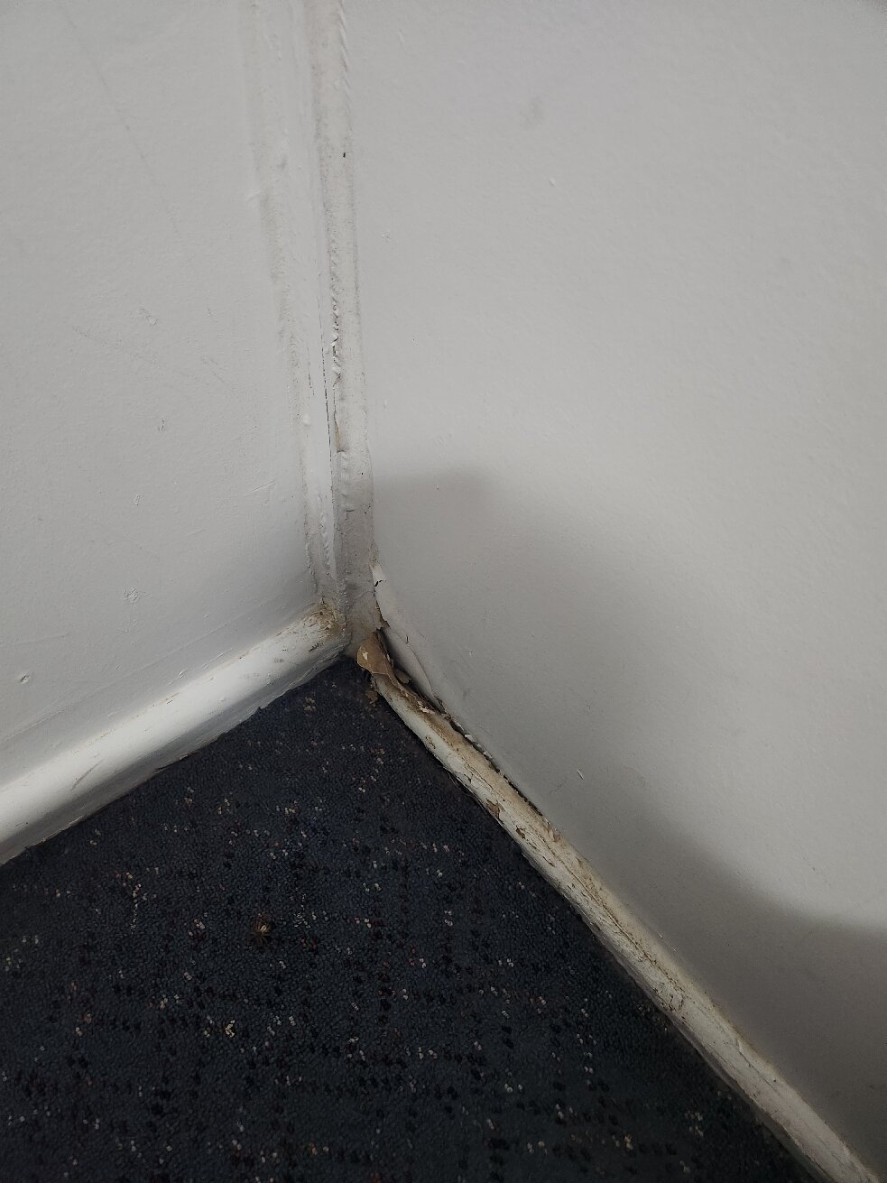 Billabong Hotel Motel-官方