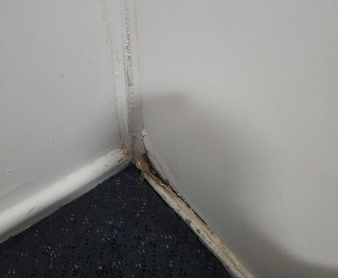 Billabong Hotel Motel主图