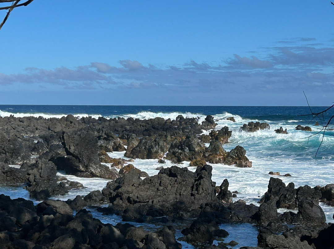 The Magic of Maui Experience-基黑必去景点