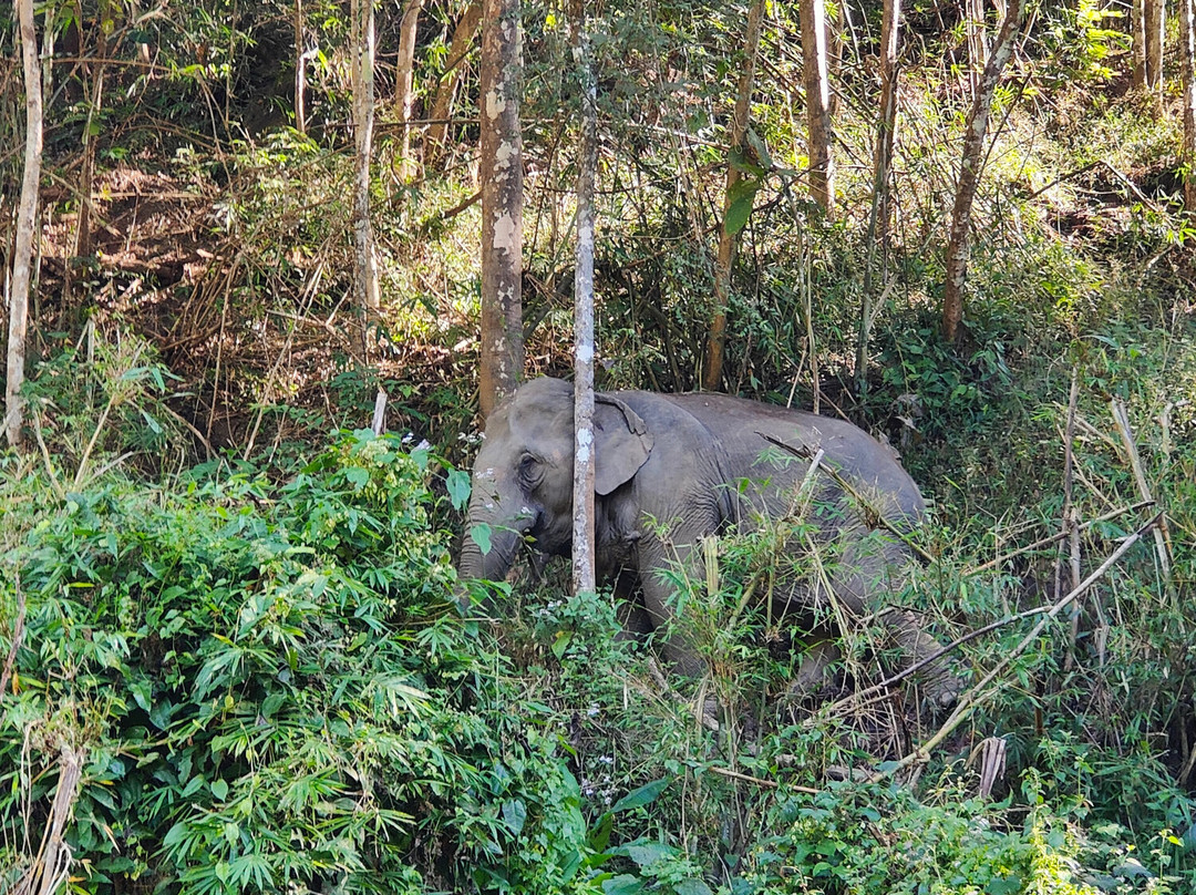 Chang Chill-Mae Win必去景点