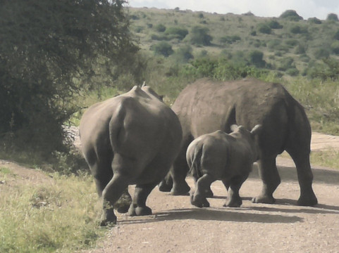 Kenya Tour Budget Safari-内罗毕必去景点