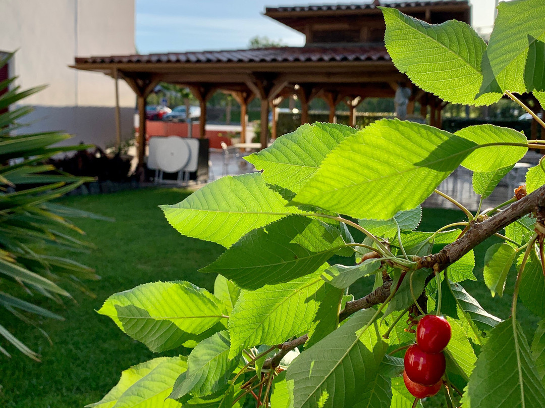 Hotel Restaurant Txistulari主图