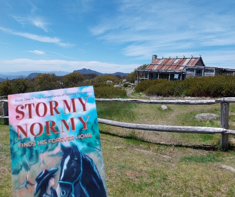 Watson's Mountain Country Trail Rides - Day Tours-曼斯菲尔德必去景点