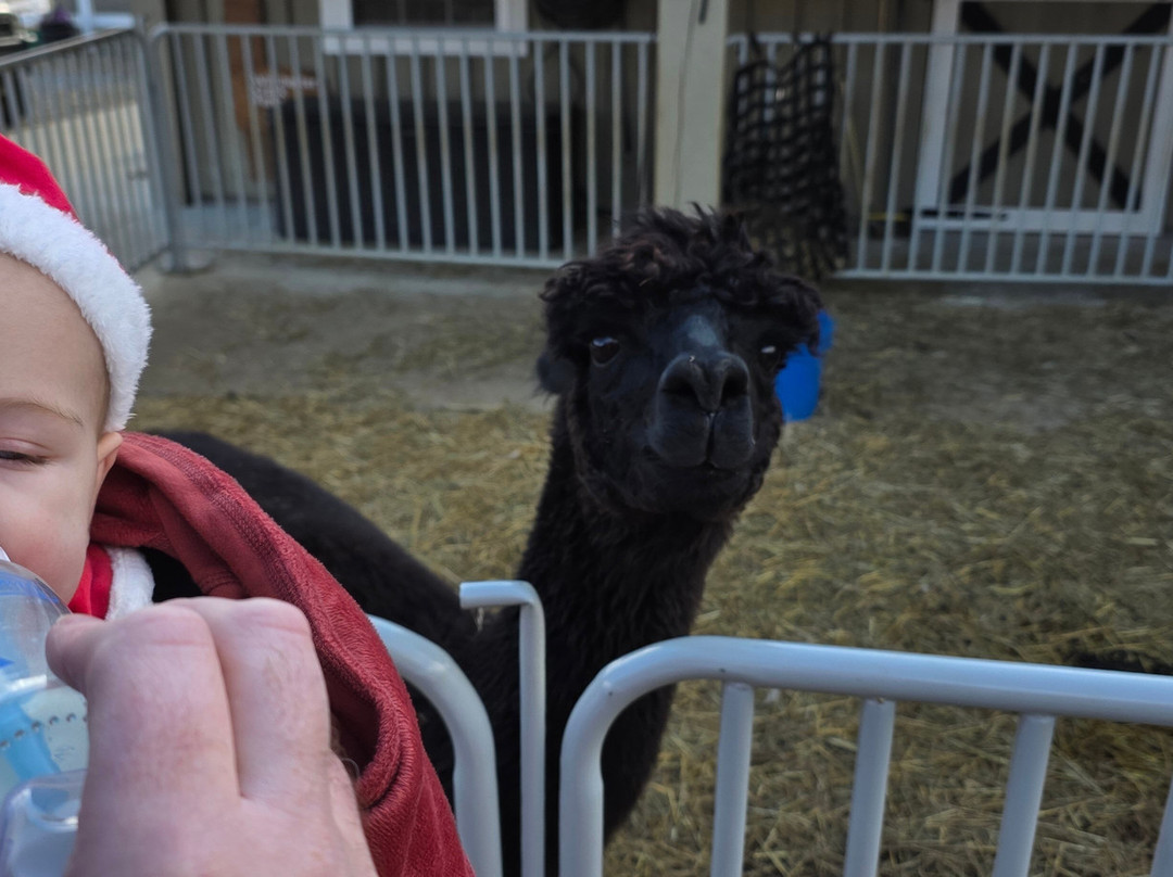 Winchester Creek Farm-韦恩斯维尔必去景点