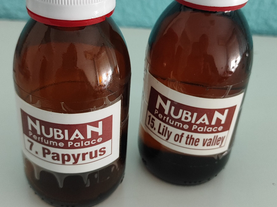 Abu Simbel Perfume Palace-Aswan 1必去景点