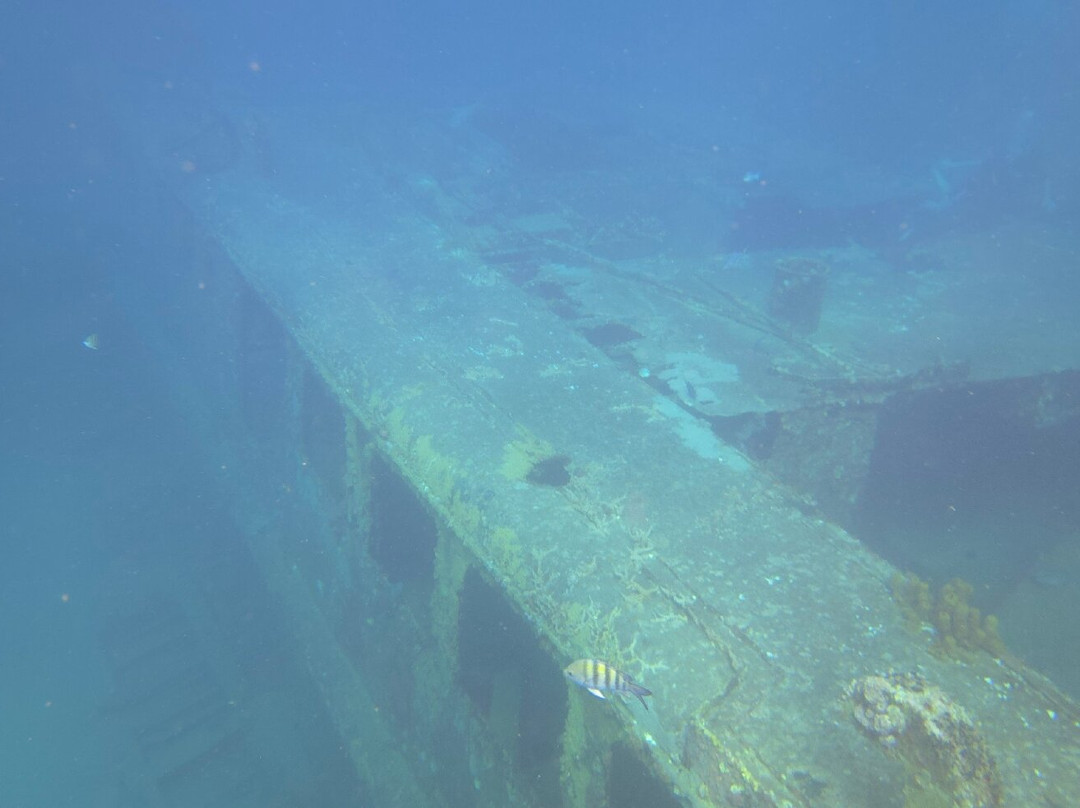 Seaklub la Romana-拉罗马纳必去景点