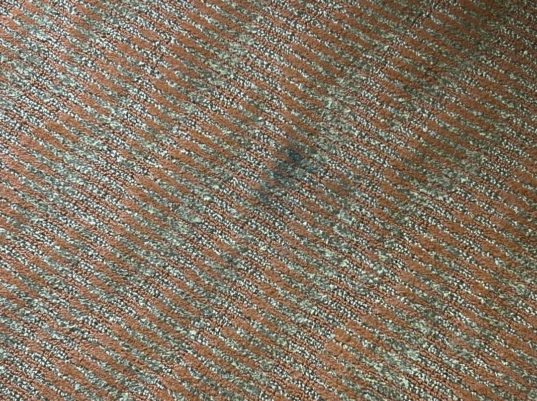 北康罗I45希尔顿恒庭旅馆&套房酒店主图