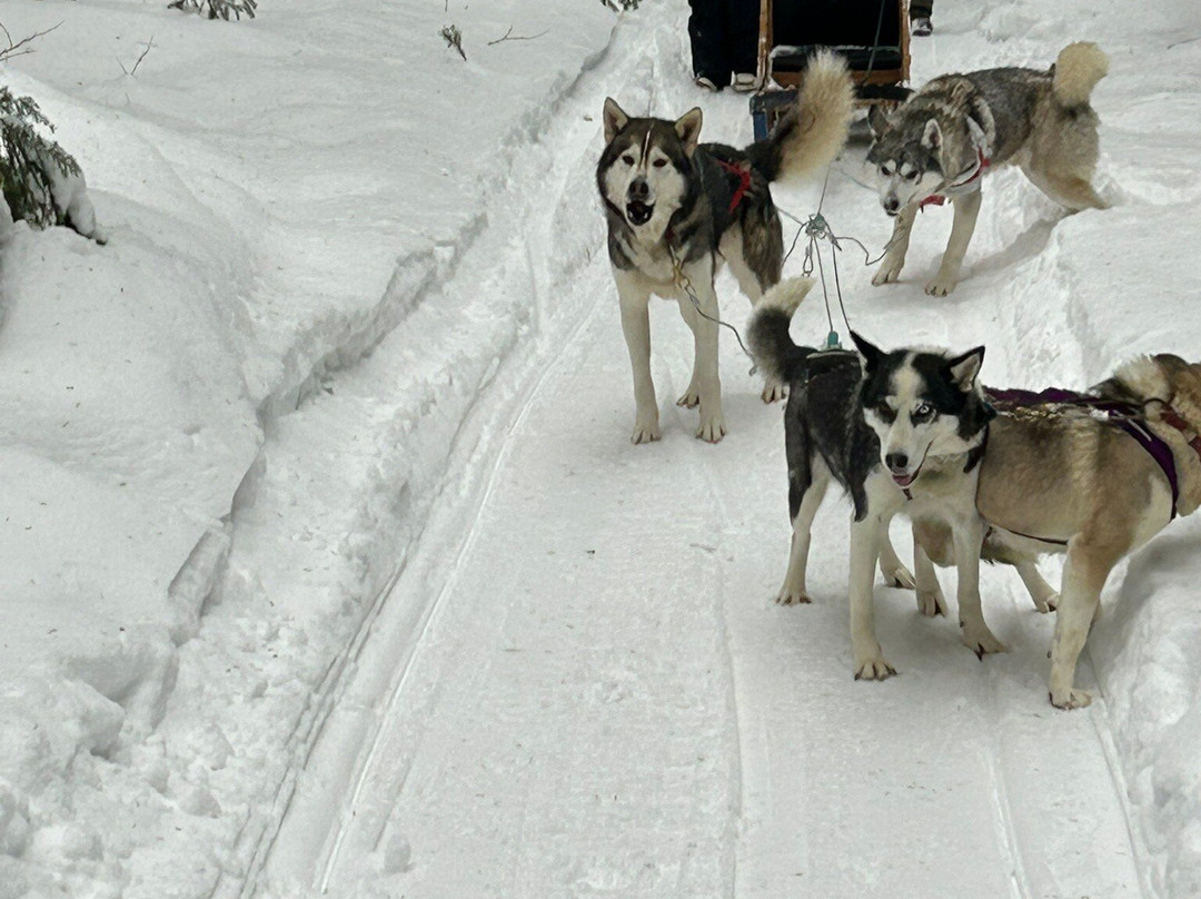 Aventures Nord-Bec-Stoneham-et-Tewkesbury必去景点