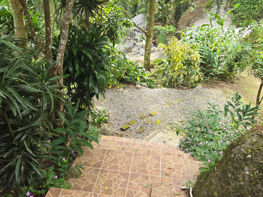 Rafjam's Bed & Breakfast主图