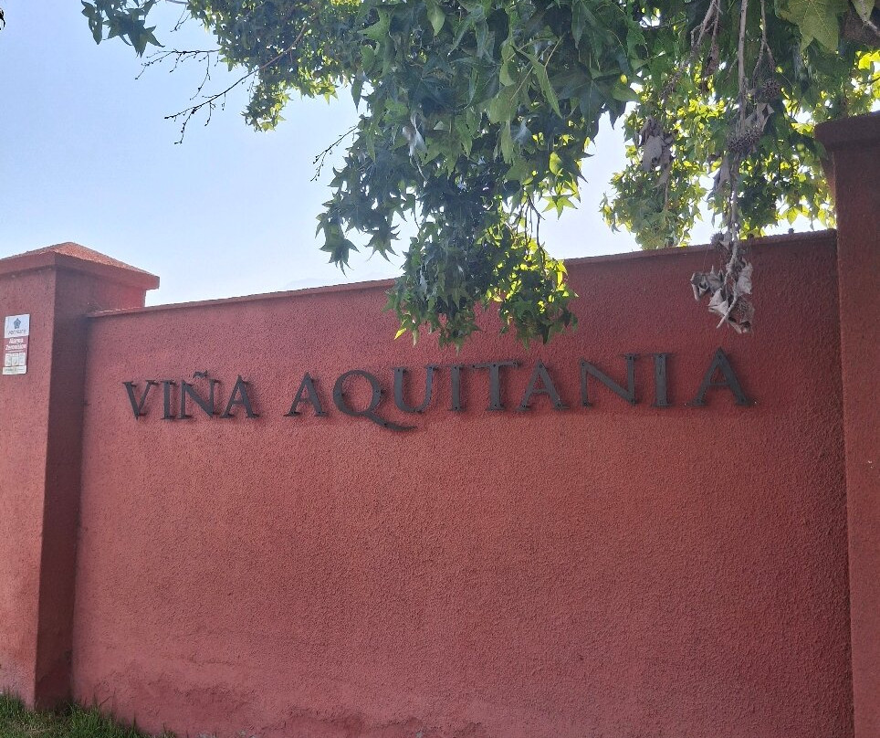 Vina Aquitania-圣地亚哥必去景点