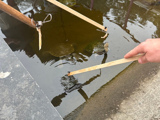 Shark And Ray Rescue Centre-Bobs Farm必去景点